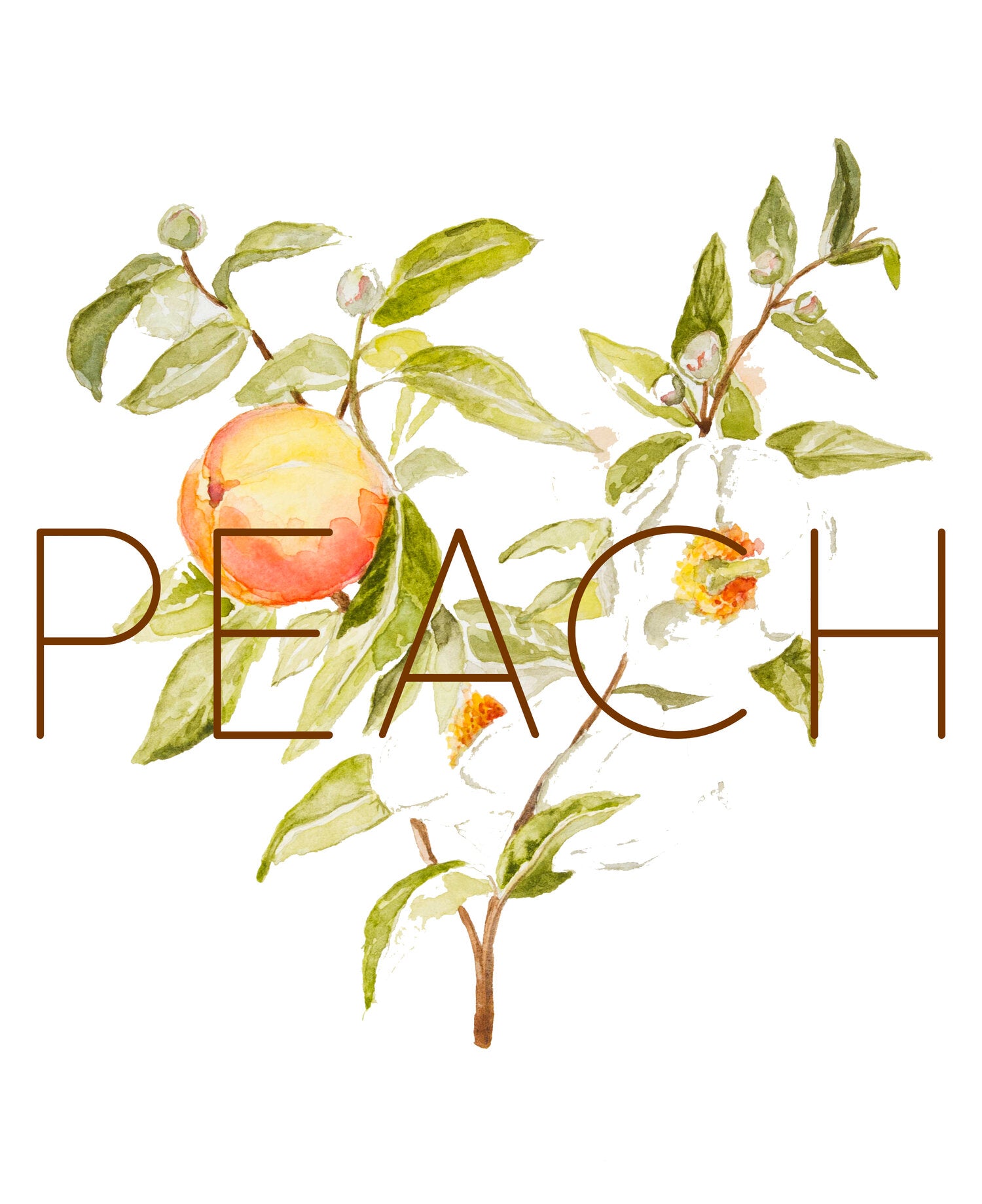 Peach Vintage Collection