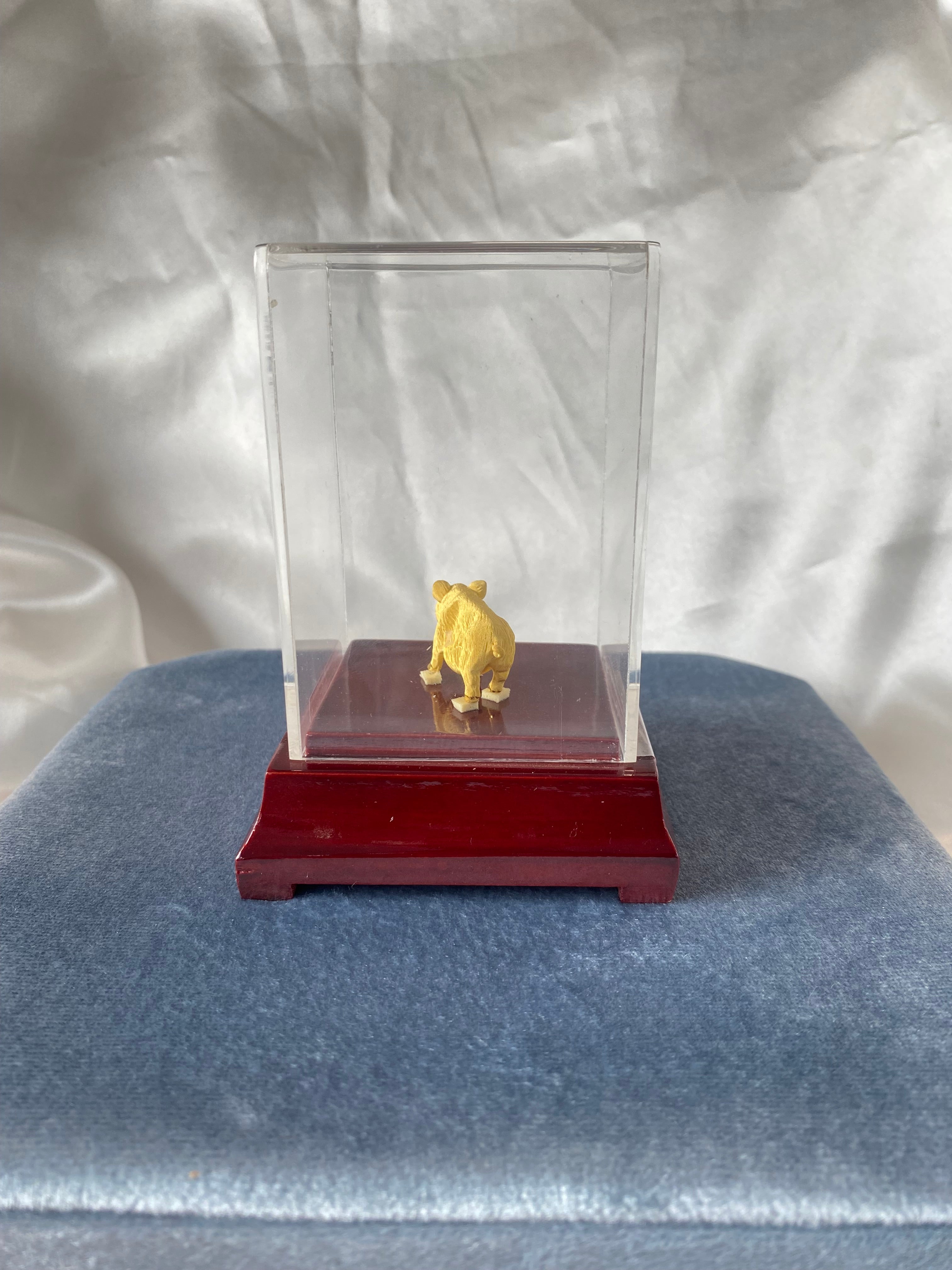 Prize Fine Gold Pig in Display Case Wood Base Plastic Case Gift Award Keepsake