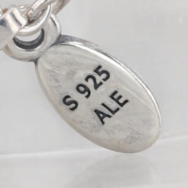Pandora Blessed Engraved Necklace Sterling Silver ENG397122_4-60 w/ Box