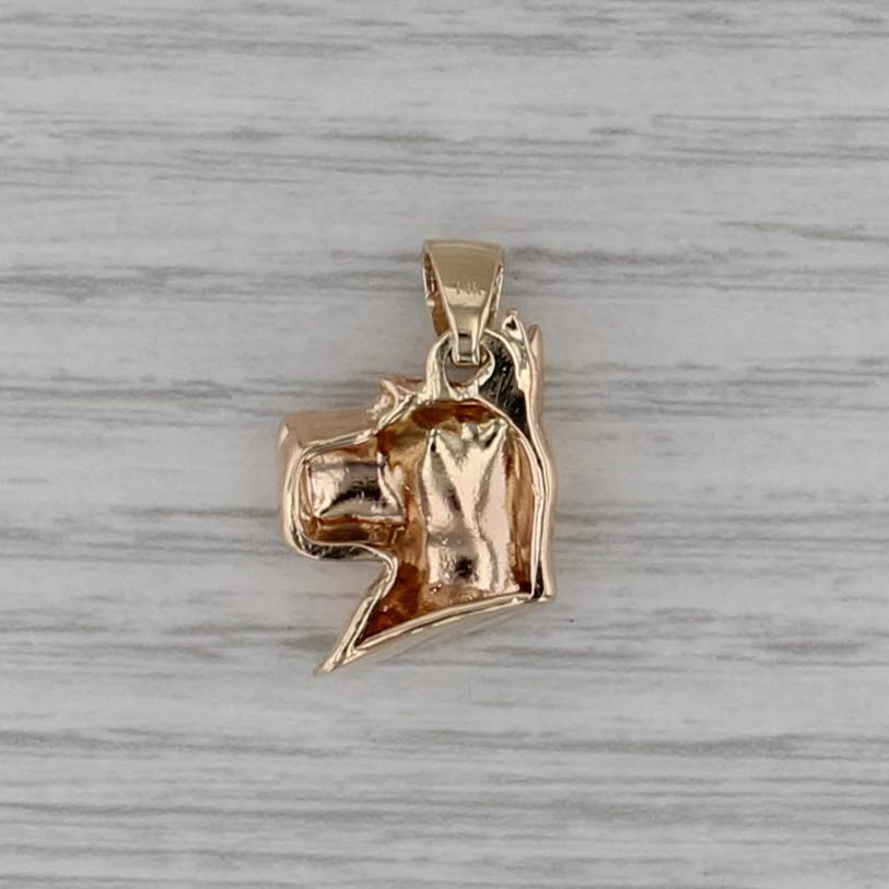 Terrier Schnauzer Pendant 14k Yellow Gold Dog Bust Keepsake