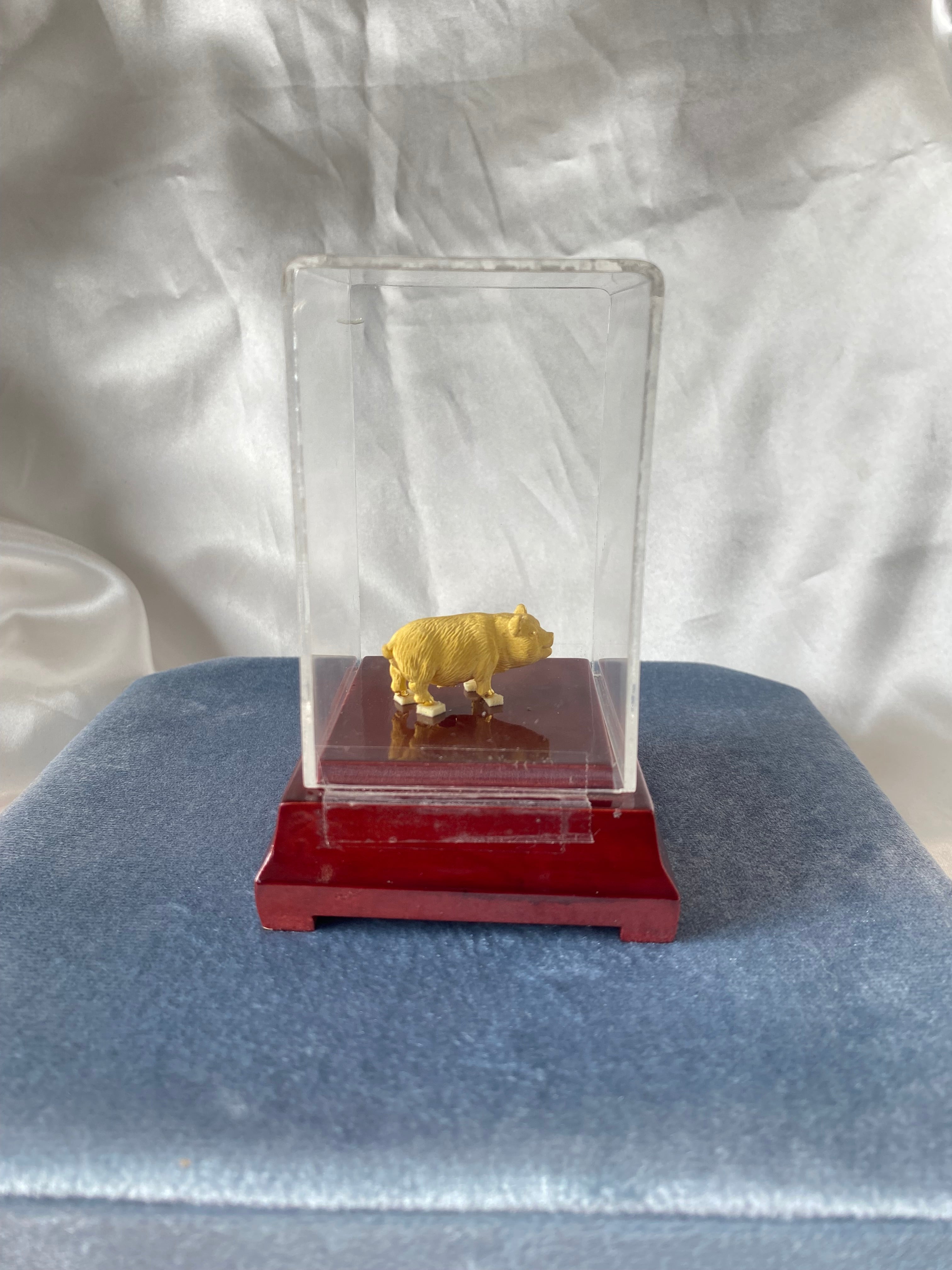 Prize Fine Gold Pig in Display Case Wood Base Plastic Case Gift Award Keepsake