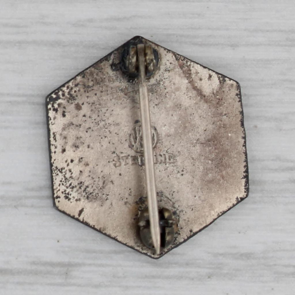 Dark Gray Sterling Silver Harrison Radiator Division General Motors 5 Years Service Pin