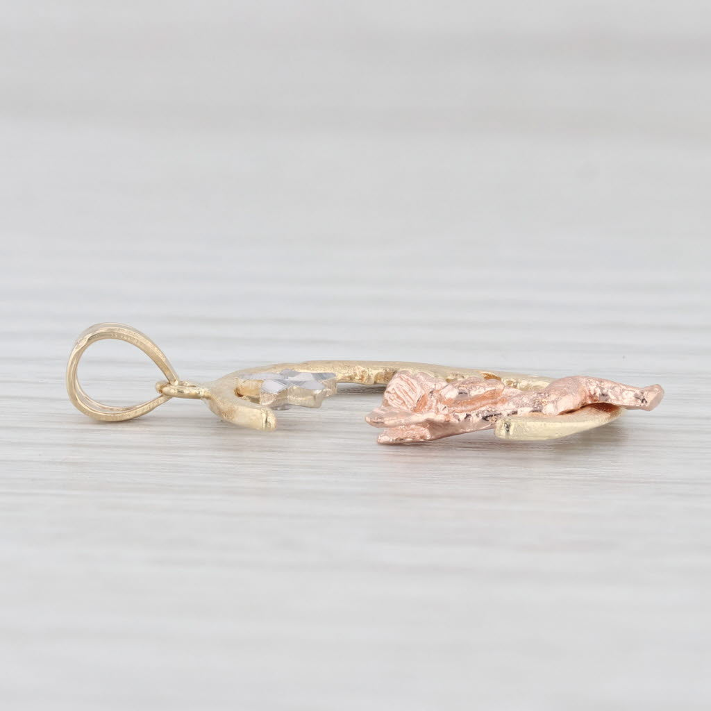 Light Gray Tri-Toned Crescent Moon Star Guardian Angel Pendant 14k Yellow White Rose