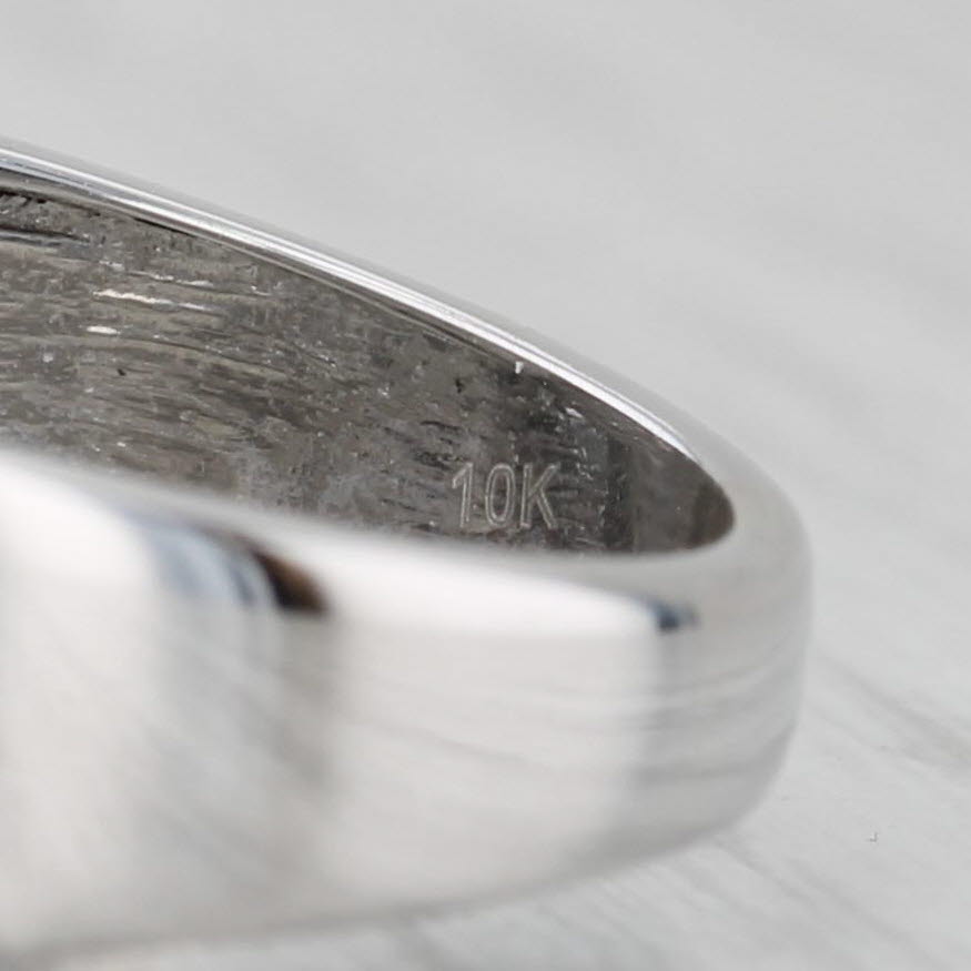 Gray 0.32ctw Diamond Men's Wedding Band 10k White Gold Size 10.5