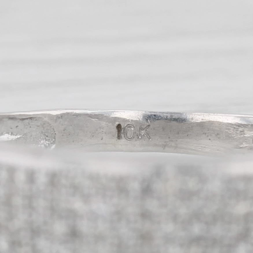 Gray 0.25ctw Diamond Men's Ring 10k White Gold Wedding Band Size 12.5
