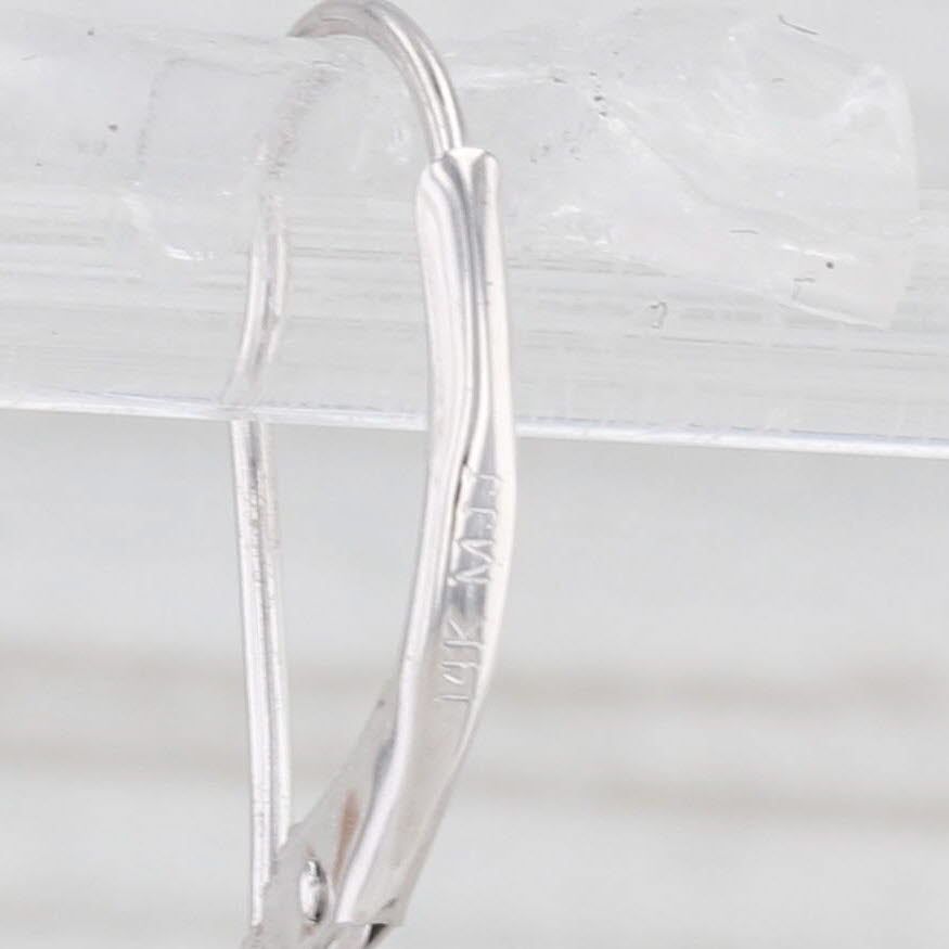 Light Gray 0.16ctw Diamond Eternity Circle Dangle Earrings 14k White Gold Drops Lever Backs