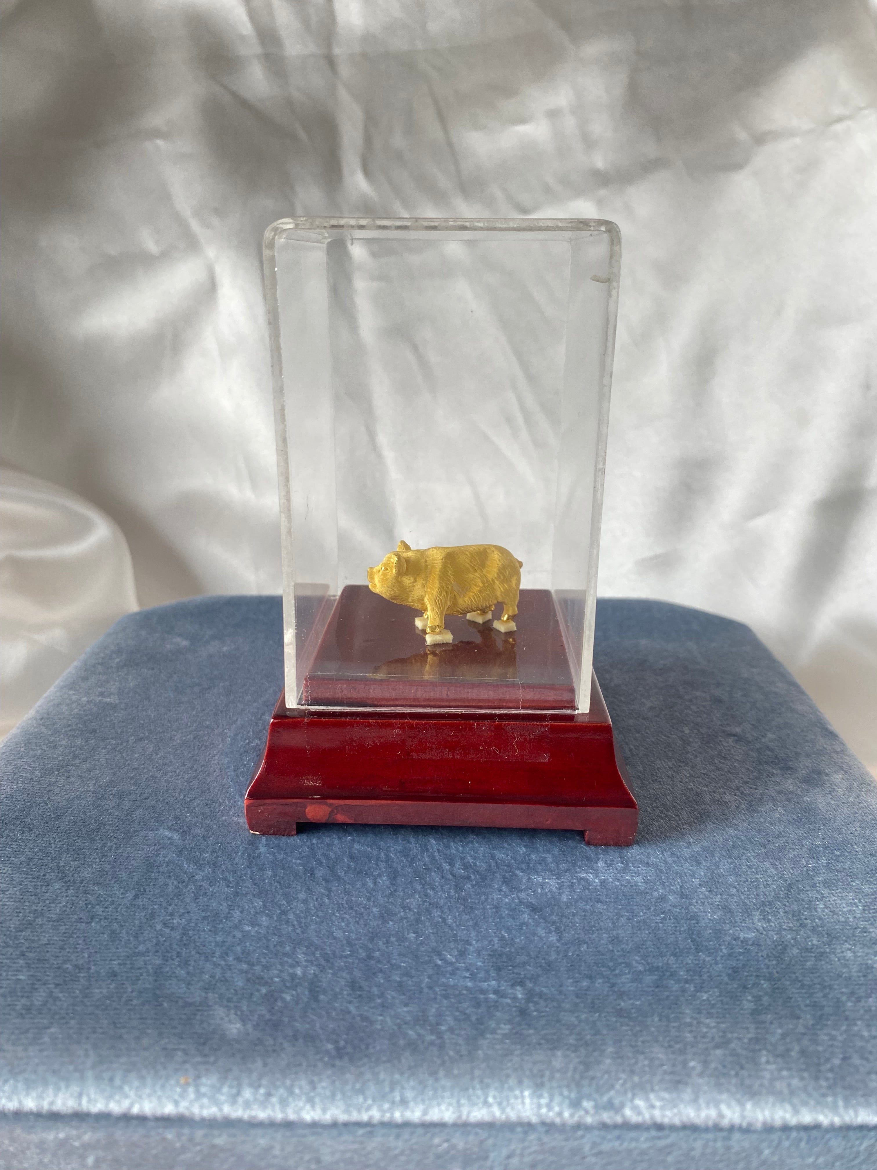 Prize Fine Gold Pig in Display Case Wood Base Plastic Case Gift Award Keepsake