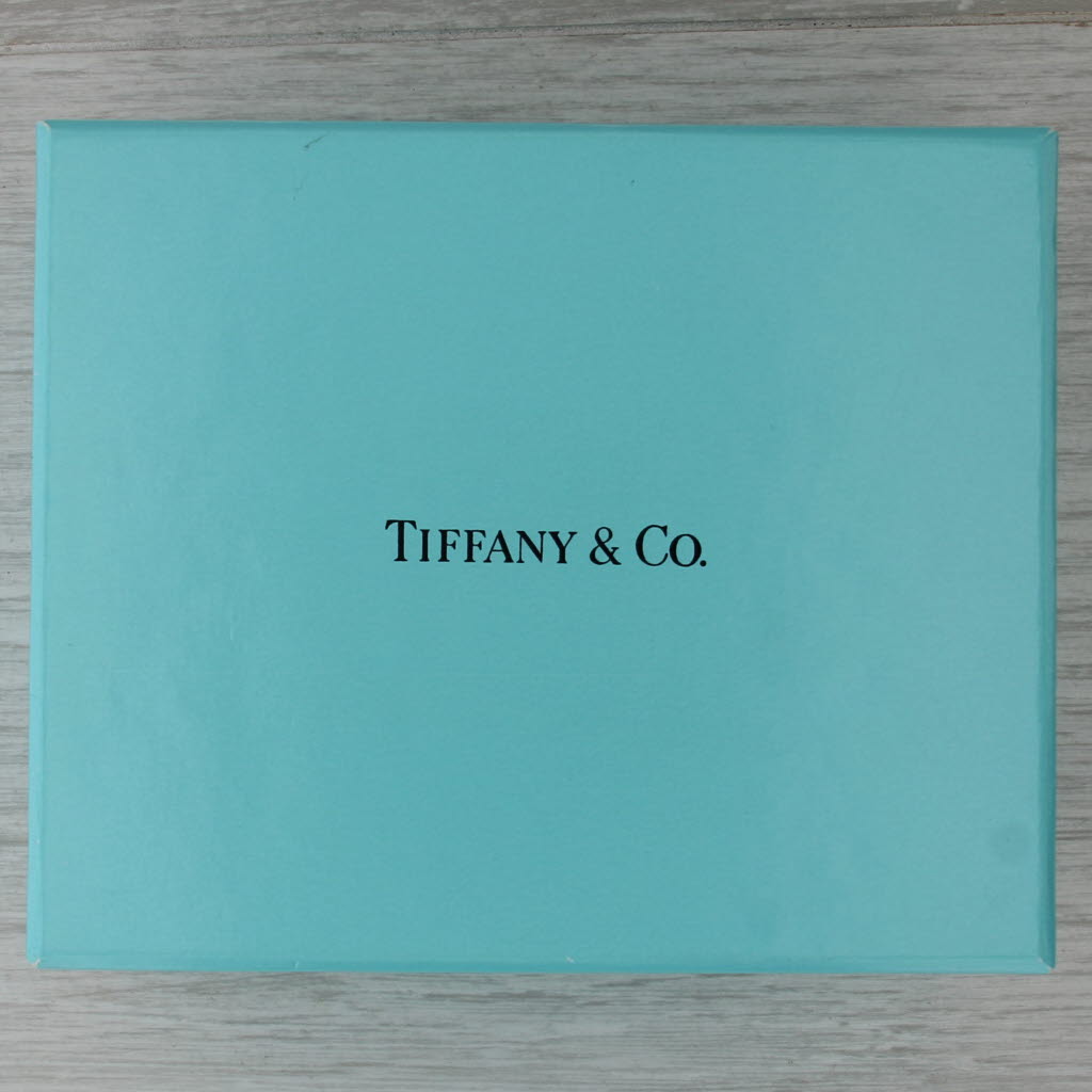 Tiffany Etoile .18ctw Diamond Dots Circle Pendant Necklace Box 18k Gold Platinum