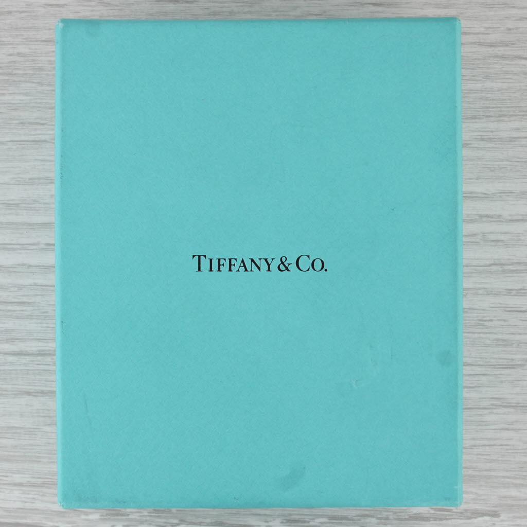 Tiffany Color by the Yard 0.16ctw Blue Sapphire Platinum Pendant Necklace Boxes