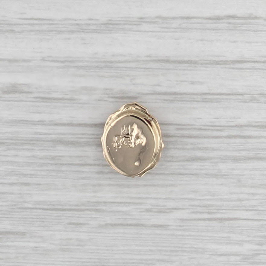 Carved Shell Cameo Slide Bracelet Charm 14k Yellow Gold Richard Glatter