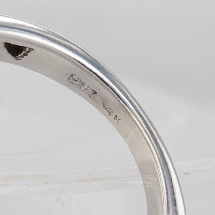 Light Gray 0.98ctw Diamond Engagement Ring 14k White Gold Size 4.25