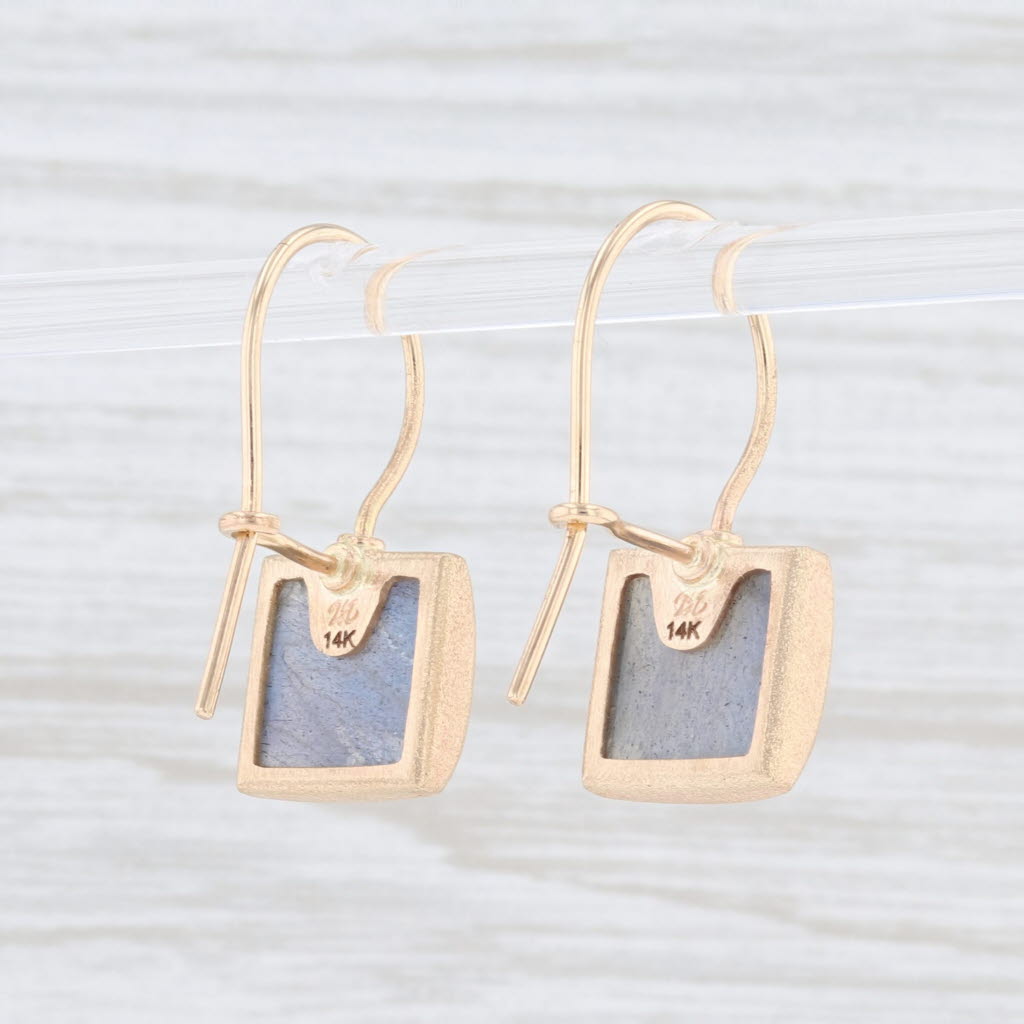 New Nina Wynn Labradorite Drop Earrings 14k Gold Hook Posts Pierced