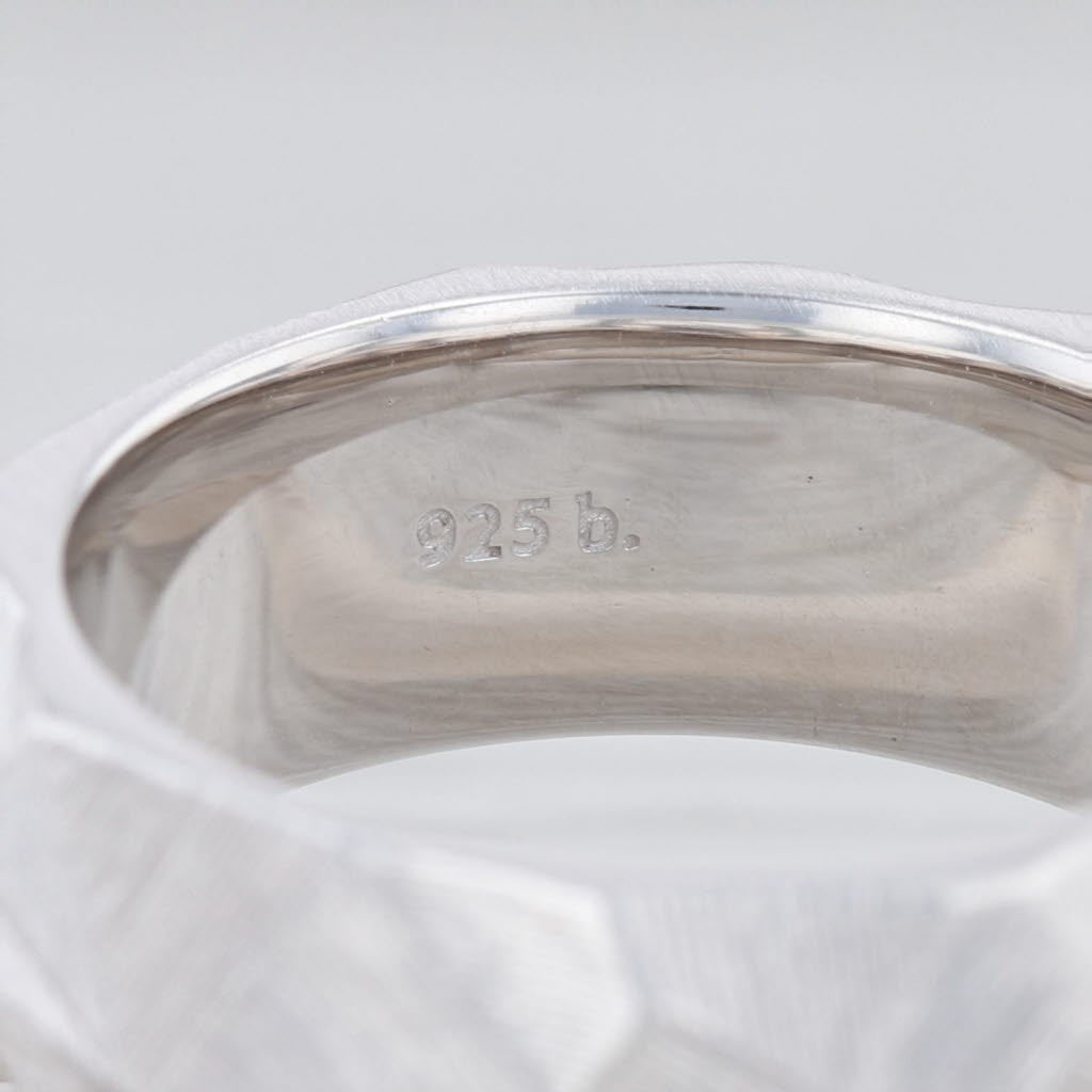 Light Gray New Bastian Inverun Ring Sterling Silver Catherine Niegel Faceted Band Sz 58 8.5