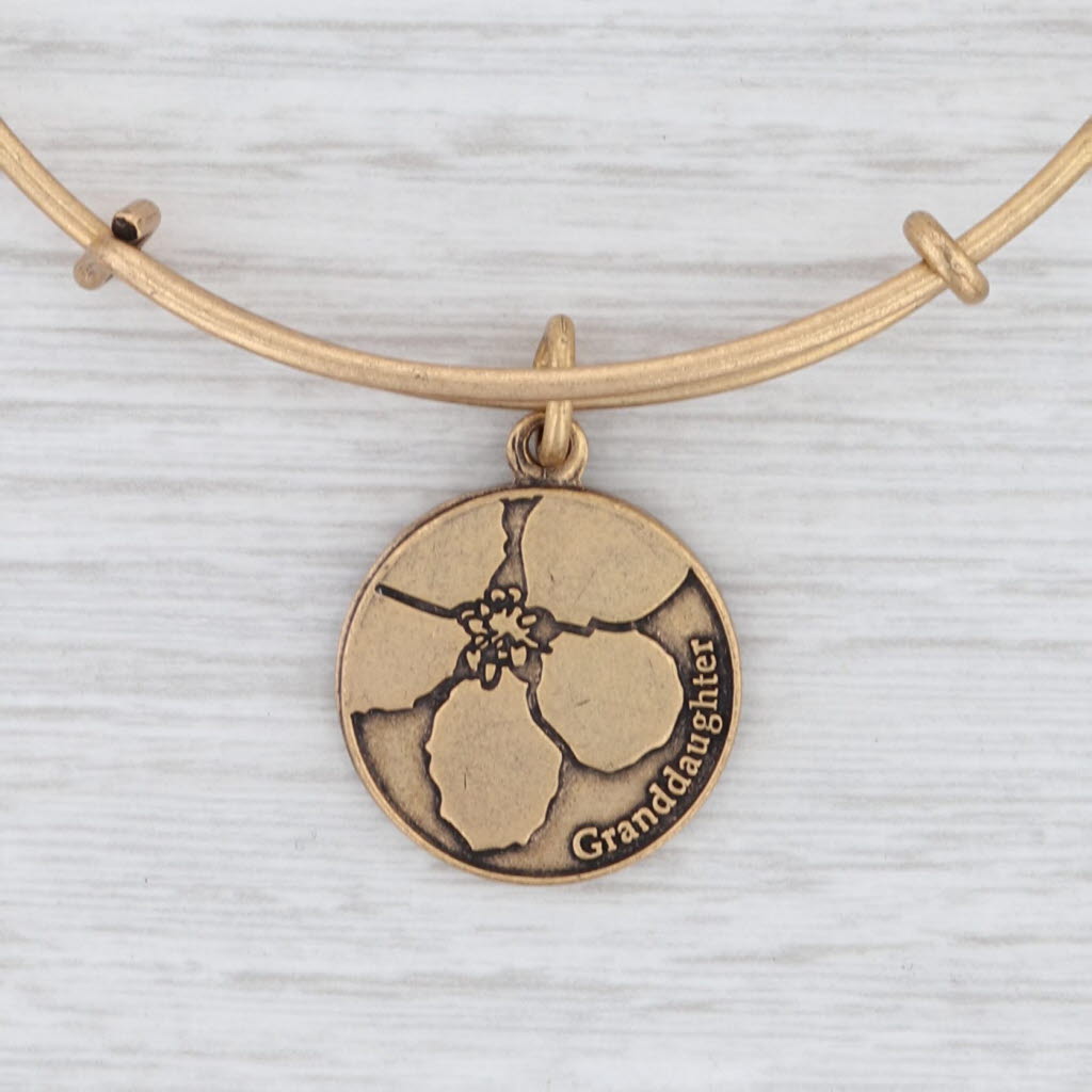 Light Gray New Alex and Ani Granddaughter Flower Bangle Charm Bracelet Rafaelian Gold