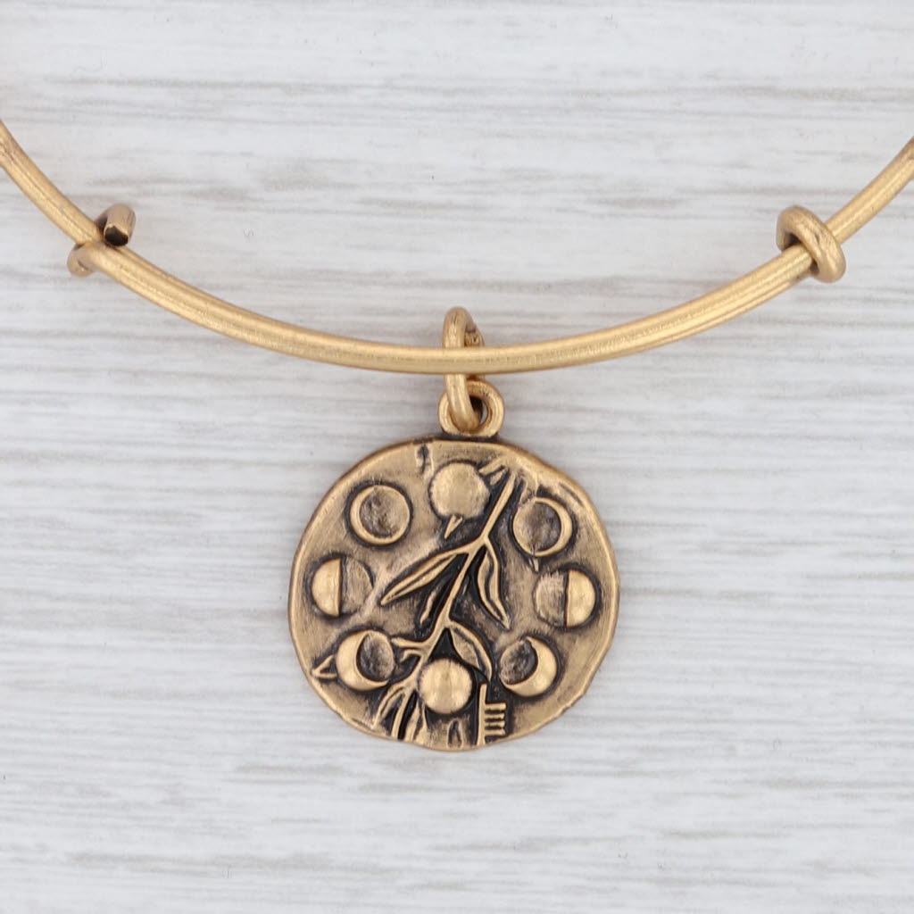 Light Gray New Alex and Ani Wilow Flower Bangle Charm Bracelet Rafaelian Gold Expandable