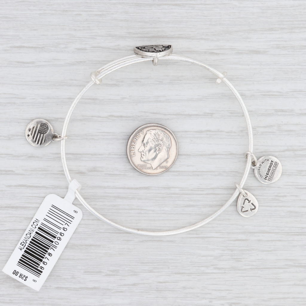 Light Gray New Alex and Ani Steady Vessel Slider Bangle Charm Bracelet Rafaelian Silver