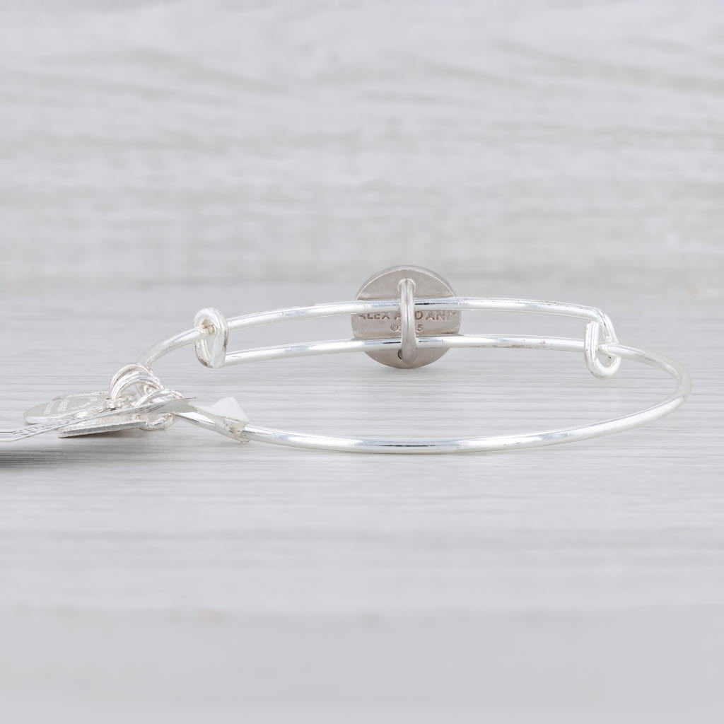 Light Gray New Alex and Ani Team USA Olympic Slider Bangle Charm Bracelet Shiny Silver