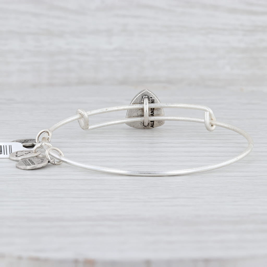 Light Gray New Alex and Ani Steady Vessel Slider Bangle Charm Bracelet Rafaelian Silver
