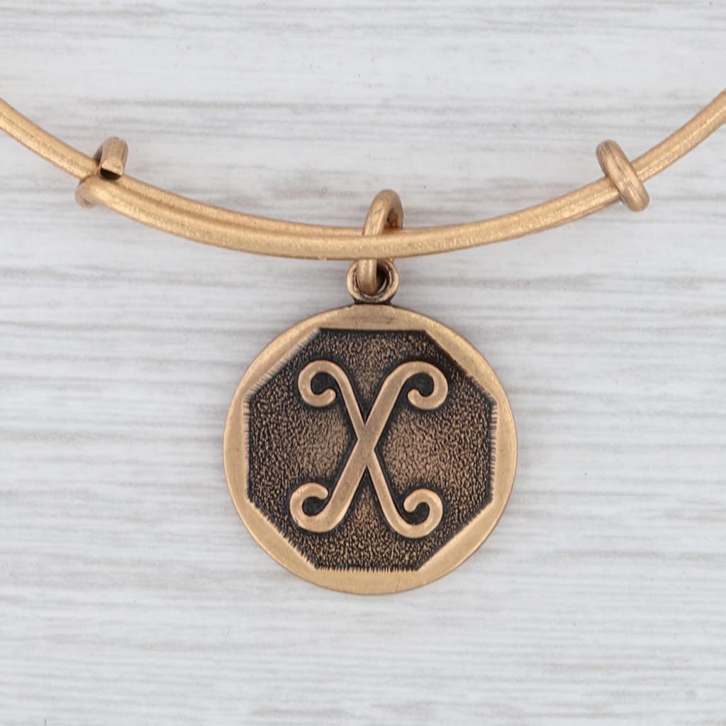 Light Gray New Alex and Ani Initial X Bangle Charm Bracelet Rafaelian Gold Expandable