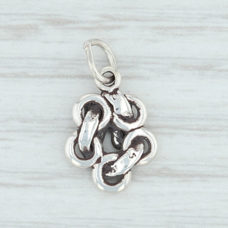 Light Gray 12 Days of Christmas 5 Rings Charm Sterling Silver 925 Holiday Pendant
