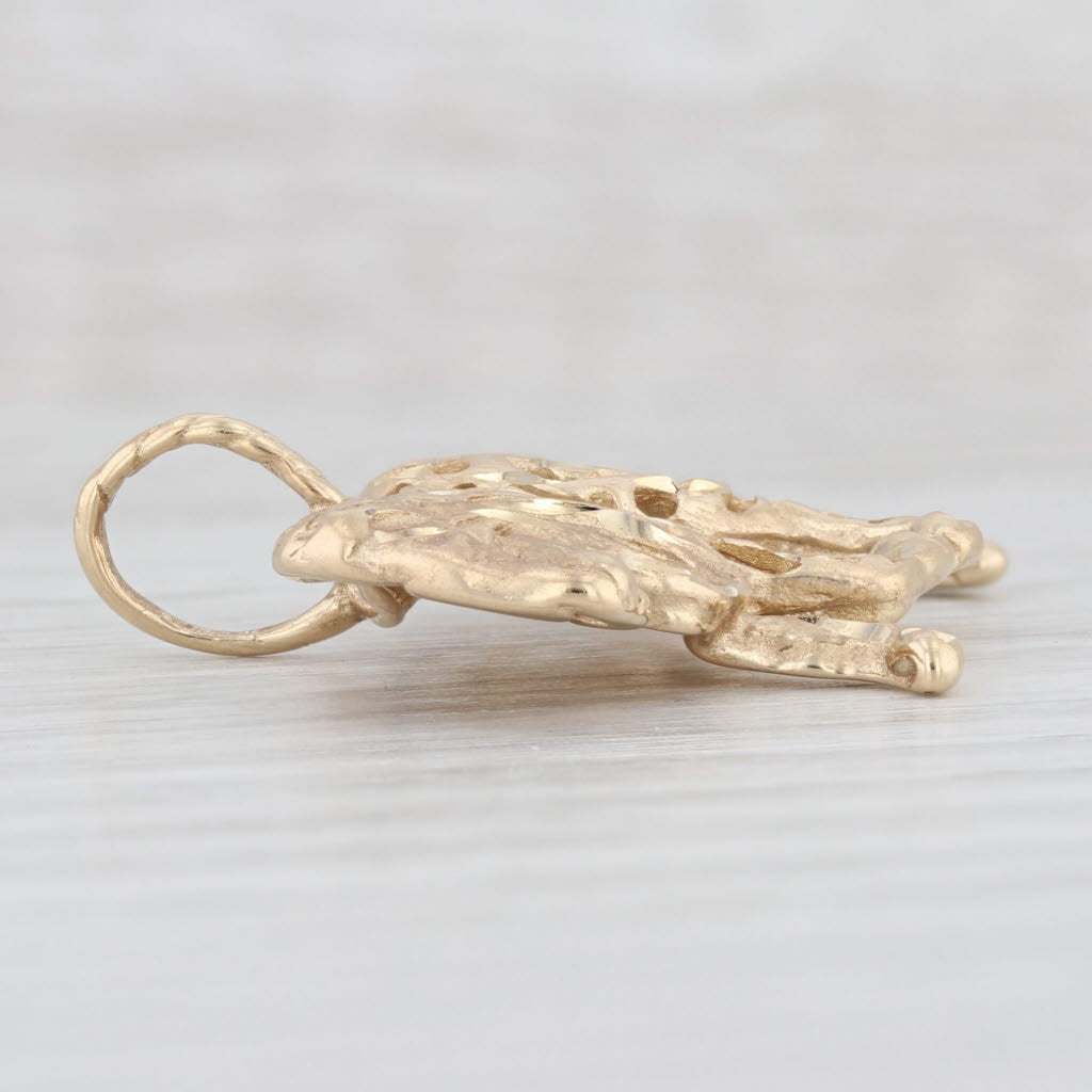 Light Gray Lion Pendant 14k Yellow Gold King of the Jungle Animal Jewelry