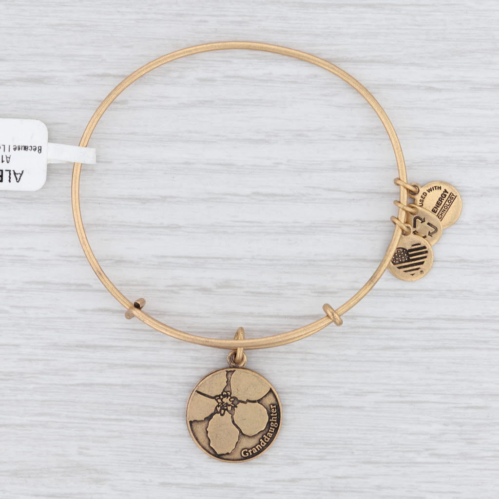Light Gray New Alex and Ani Granddaughter Flower Bangle Charm Bracelet Rafaelian Gold