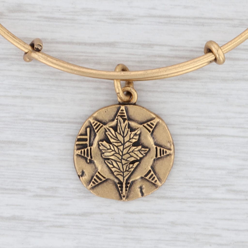 Light Gray New Alex and Ani Oak Flower Bangle Charm Bracelet Rafaelian Gold Expandable