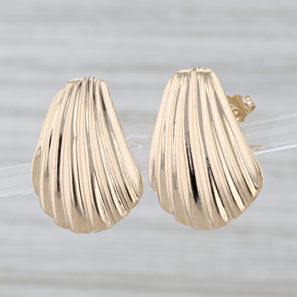 Shell Stud Earrings 14k Yellow Gold Nautical Studs