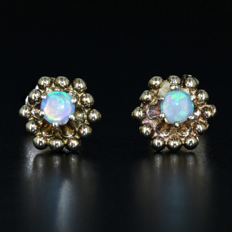 Black Opal Solitaire Stud Earrings 14k Yellow Gold Round Cabochon