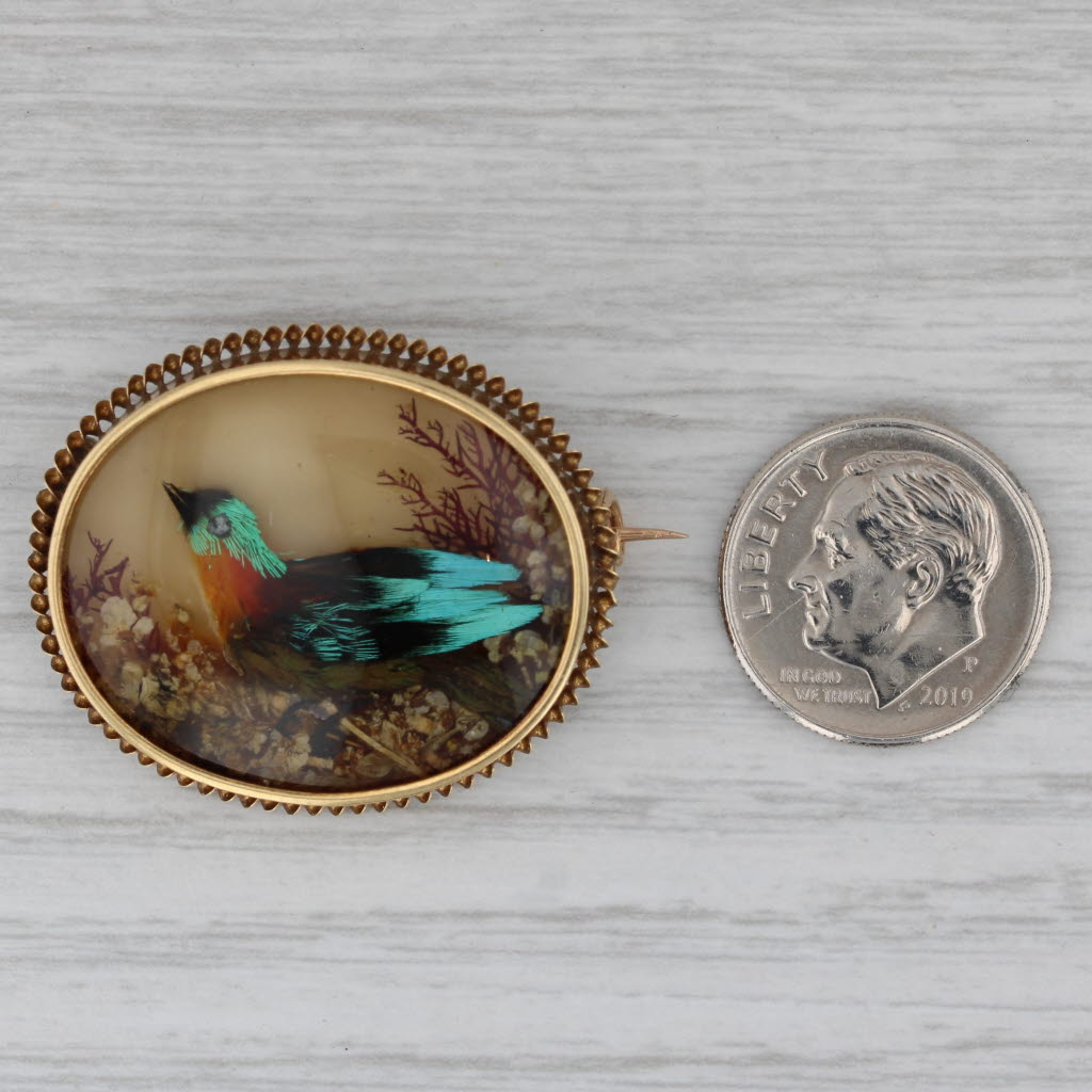 Gray Antique Floral Bird Brooch 18k Gold 1860s Pin Glass Feathers Portrait French