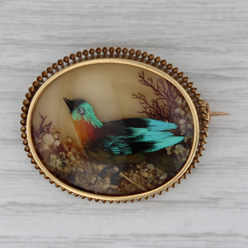 Gray Antique Floral Bird Brooch 18k Gold 1860s Pin Glass Feathers Portrait French