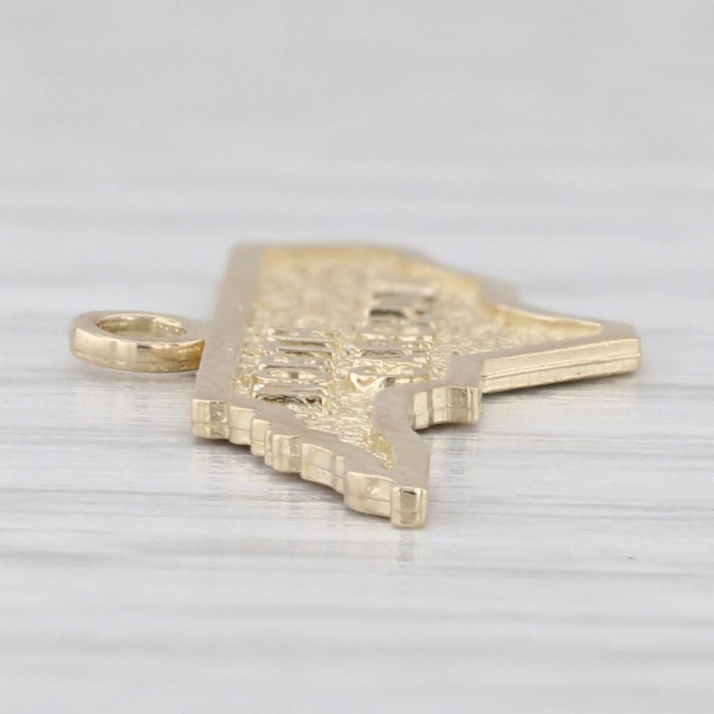 Light Gray North Carolina State Souvenir Charm 10k Yellow Gold Pendant