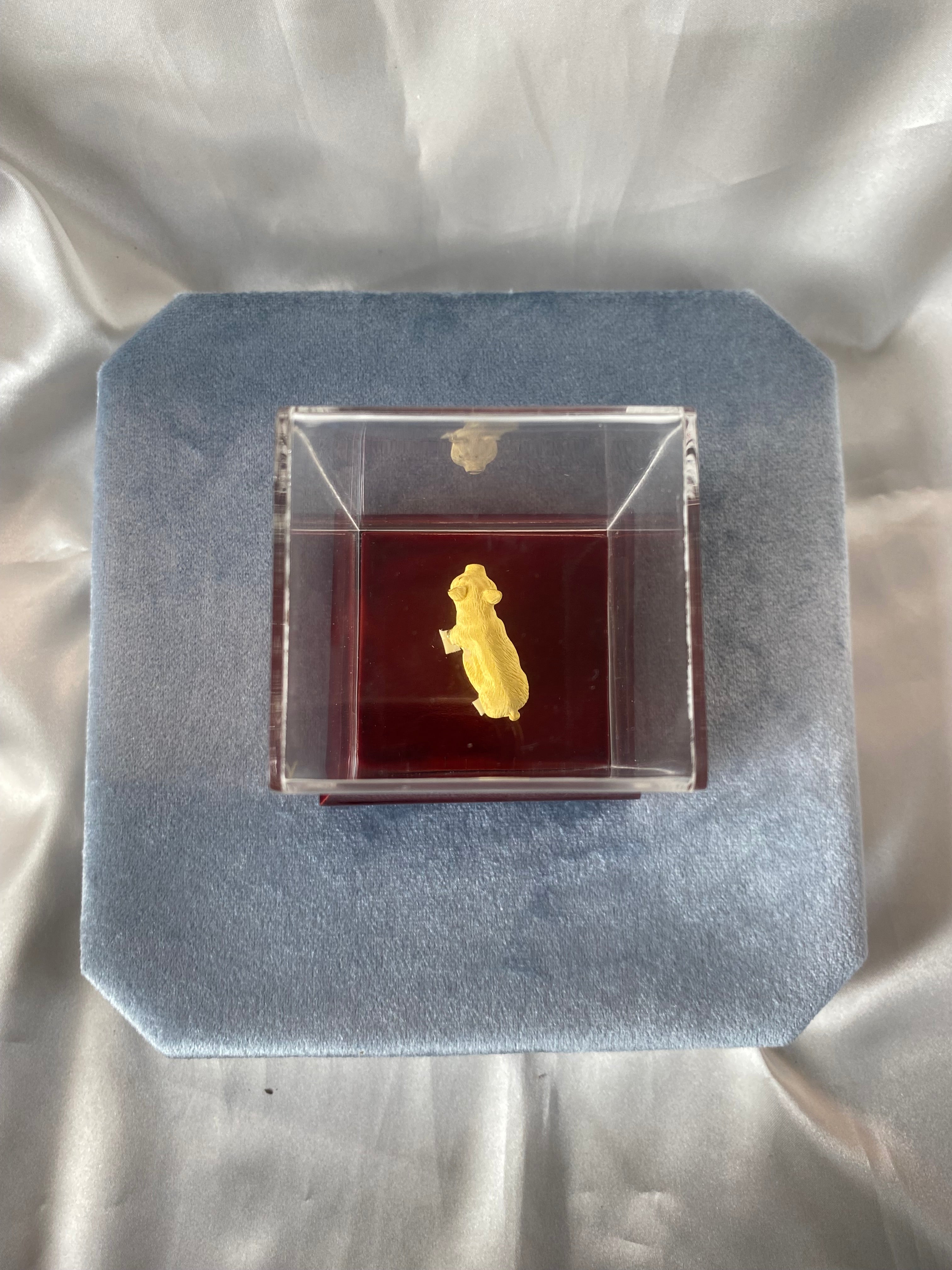 Prize Fine Gold Pig in Display Case Wood Base Plastic Case Gift Award Keepsake