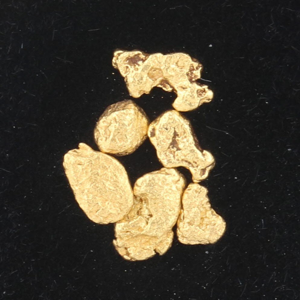Placer 18k Yellow Gold Alaskan Gold Nuggets in Display Box