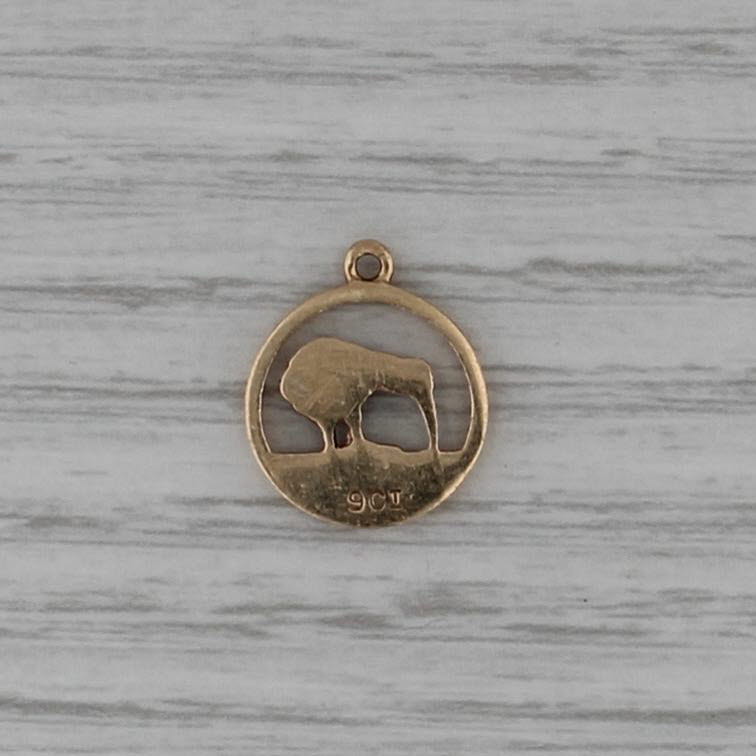 New Zealand Kiwi Bird Charm 9k Yellow Gold Souvenir Pendant