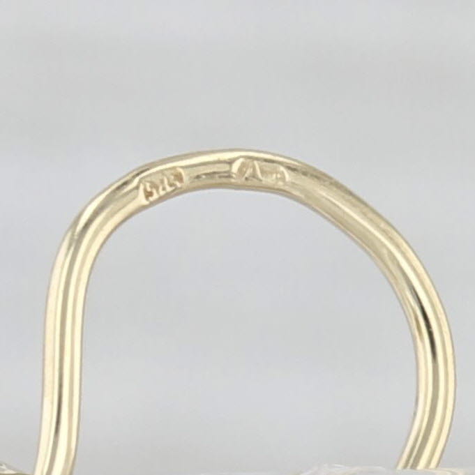 0.75ctw Garnet Flower Earrings 14k Yellow Gold Leverback Drops