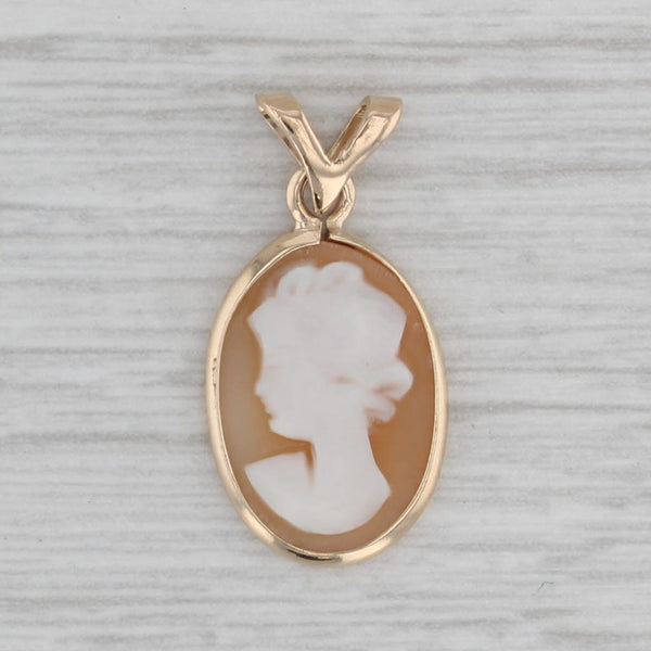 Carved Shell Cameo Pendant 14k Yellow Gold Small Figural Drop
