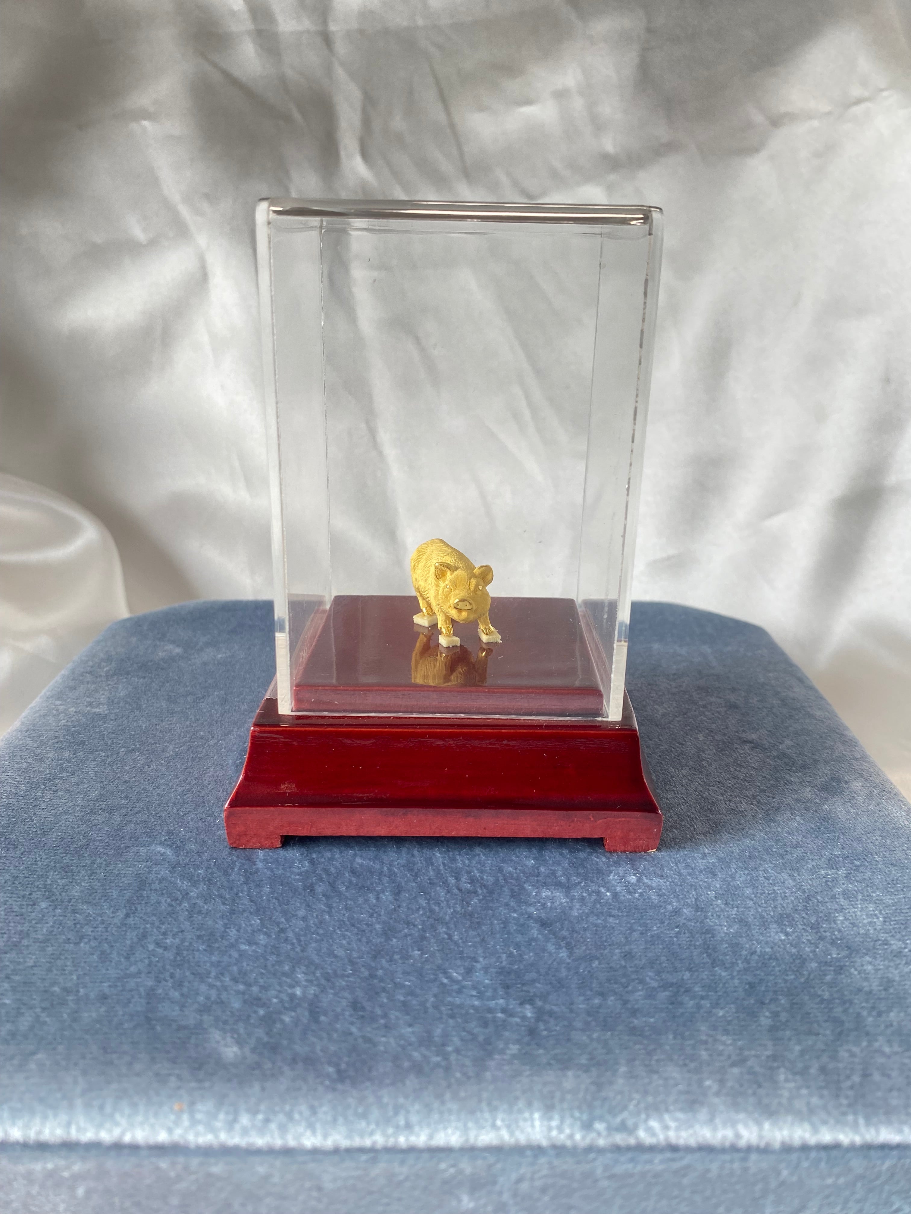 Prize Fine Gold Pig in Display Case Wood Base Plastic Case Gift Award Keepsake