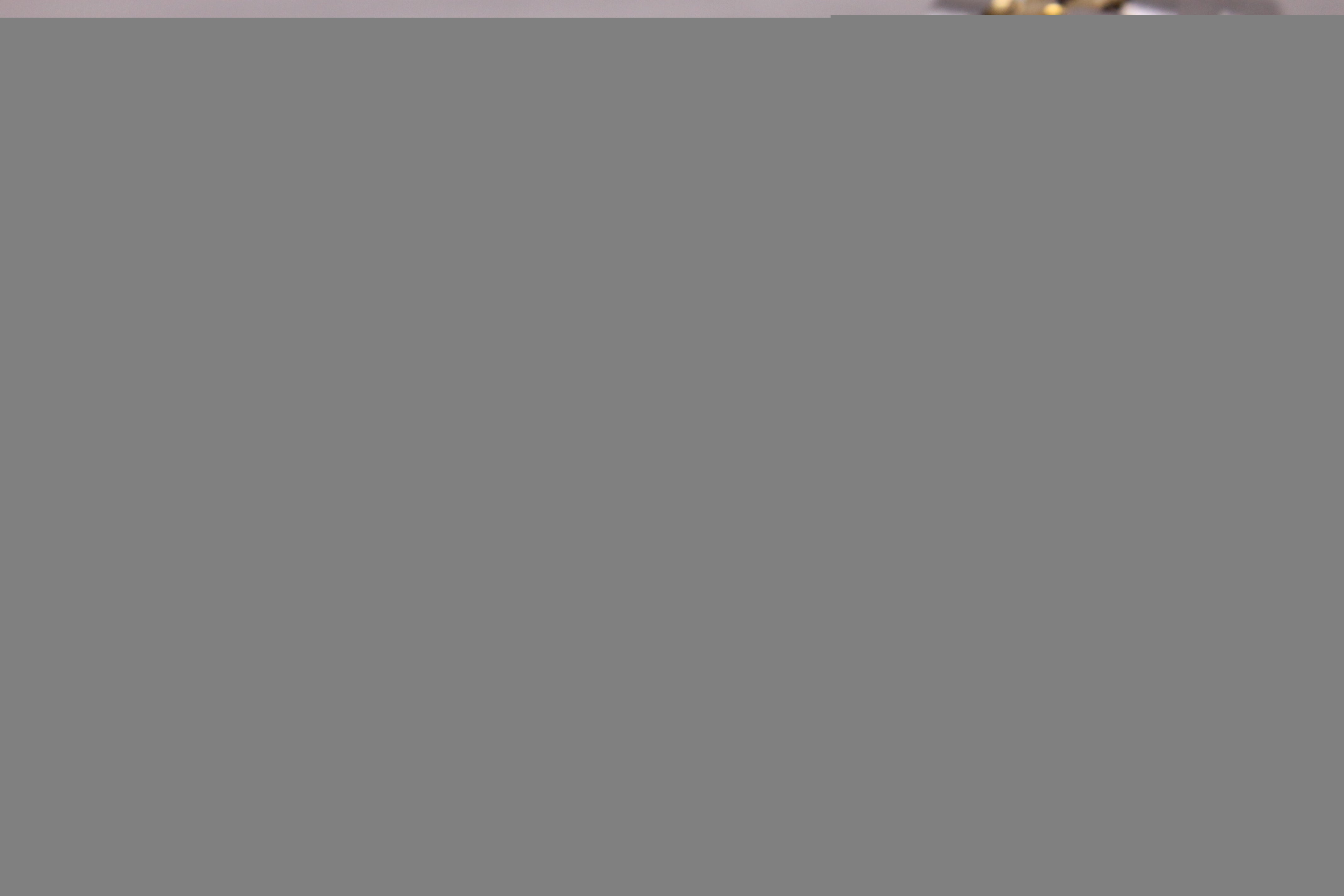 1996 Rolex Datejust Ladies 26mm Steel & 18k Automatic Watch Box & Papers