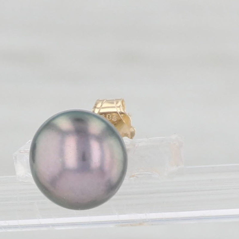 Black Cultured Pearl Stud Earrings 14k Yellow Gold Pierced 7mm Studs