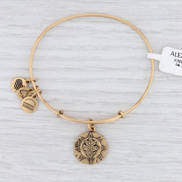 Alex and ani hot sale infused with energy technology