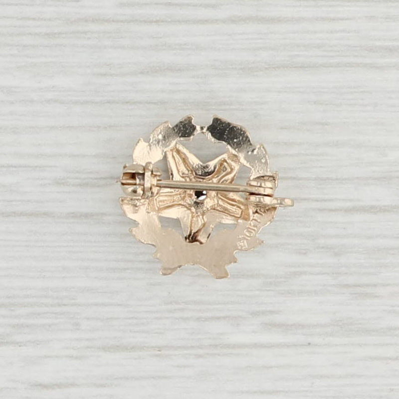 Vintage Order Eastern Star Pin Diamond 10k Gold Enamel Masonic Women Small Lapel