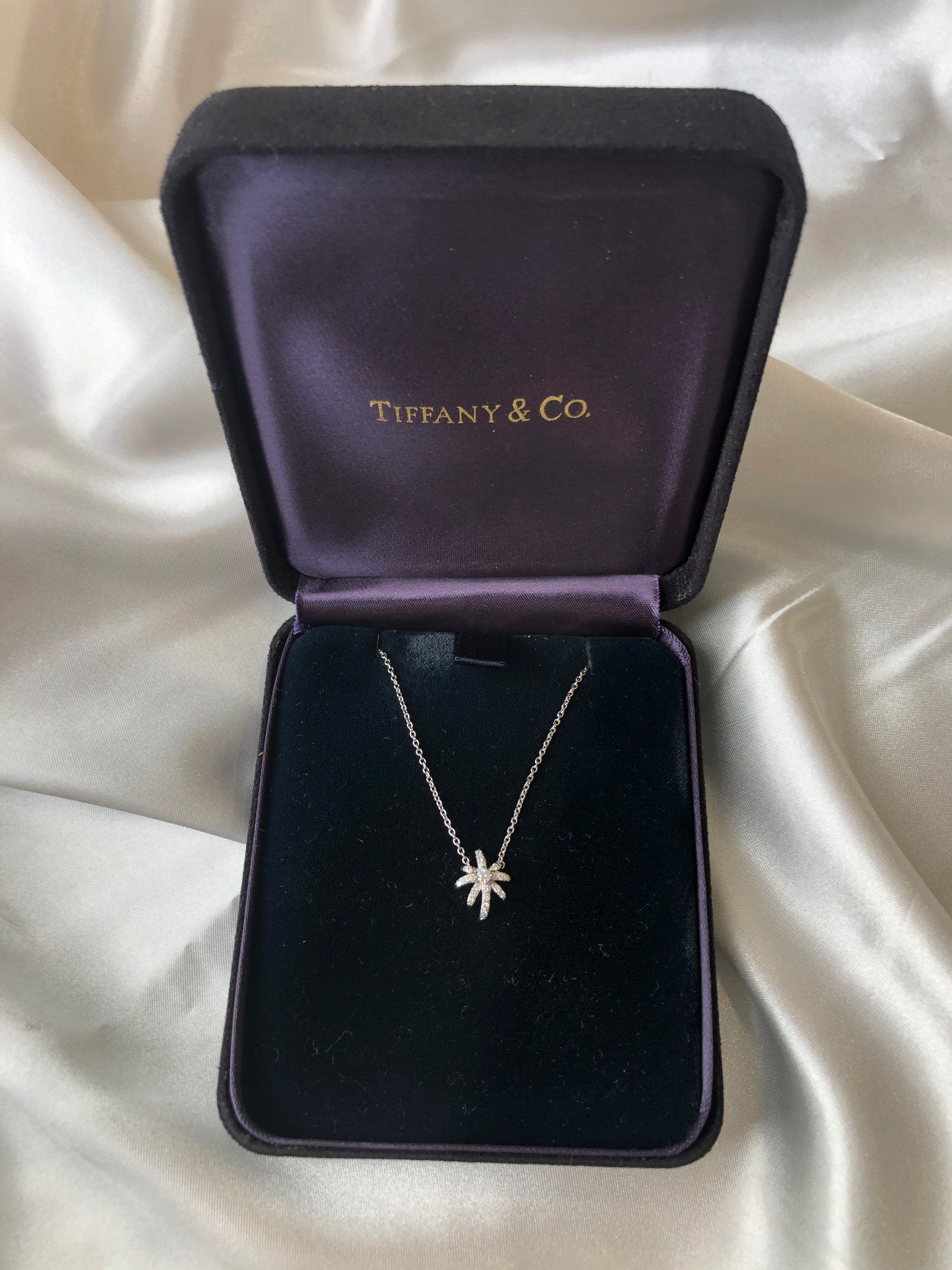 Gray Tiffany & Co Diamond Fireworks Pendant Necklace w/ Box Platinum 16" Cable Chain