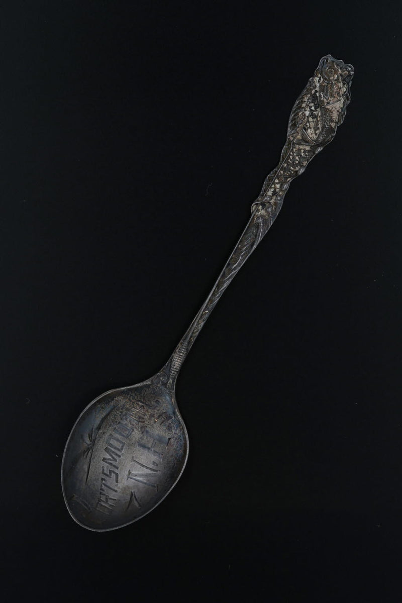 Decorative Spoon with Cup